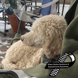 Meet your Posher, Lynn